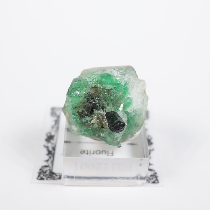 �ʥߥӥ��� �ե����饤��