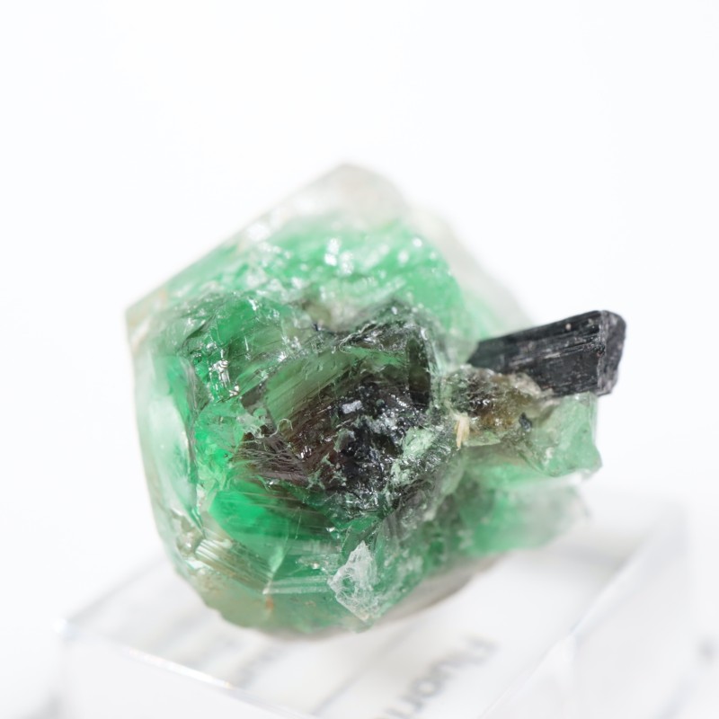 �ʥߥӥ��� �ե����饤��