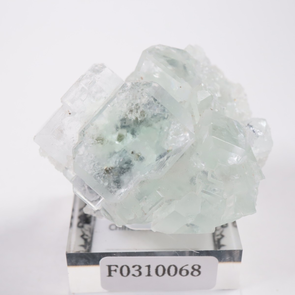 �ʥ����ۻ� �ե����饤��