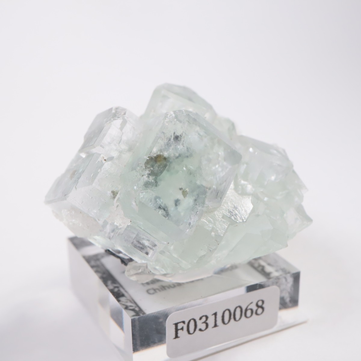 �ʥ����ۻ� �ե����饤��