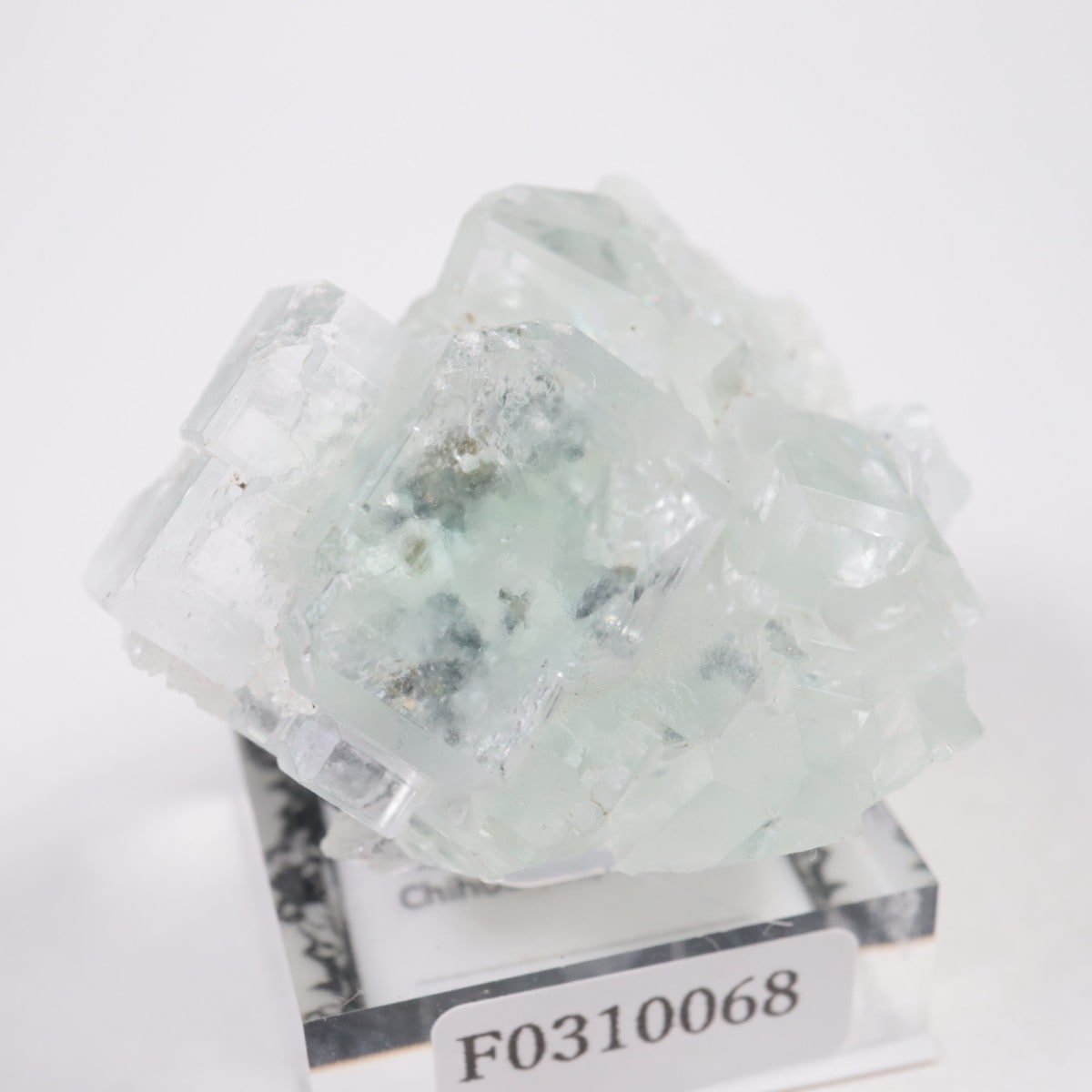 �ʥ����ۻ� �ե����饤��