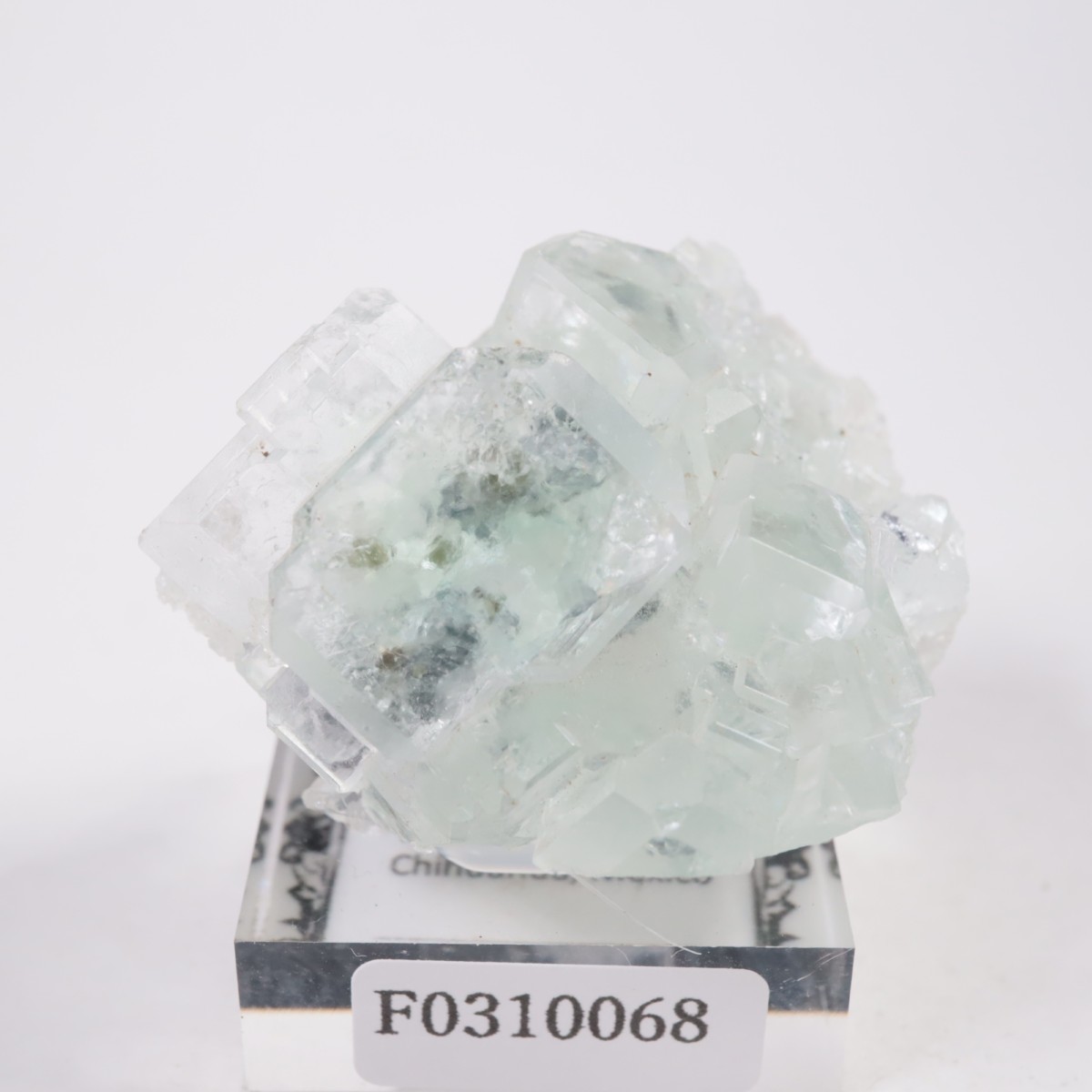 �ʥ����ۻ� �ե����饤��