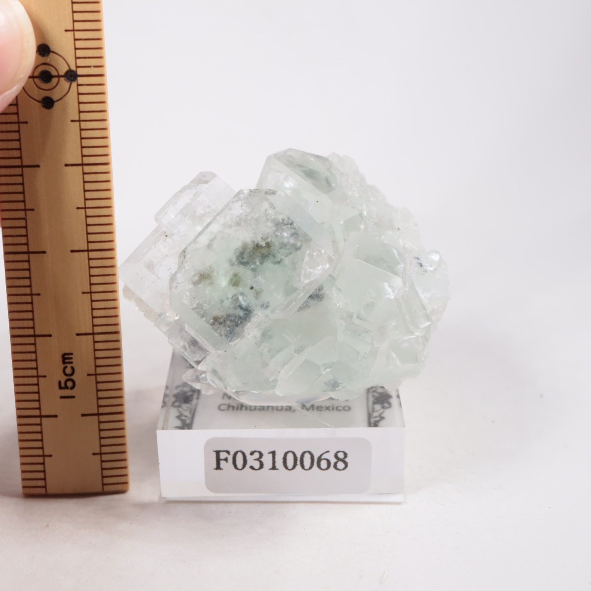 �ʥ����ۻ� �ե����饤��