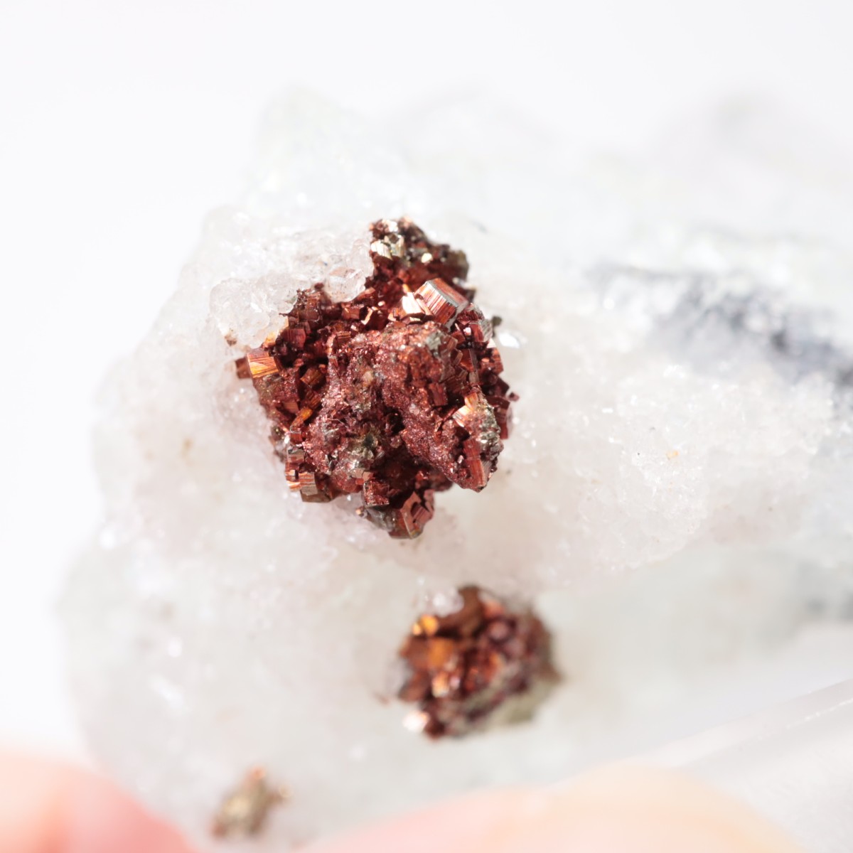 �ʥ����ۻ� �ե����饤��