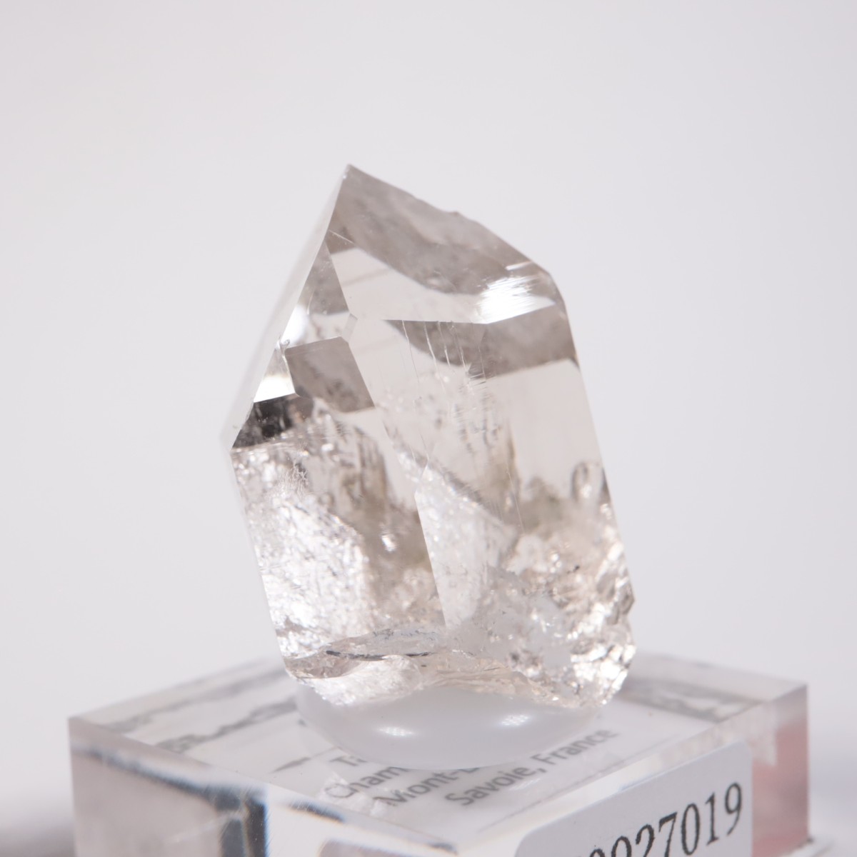 ���֥�� ��������