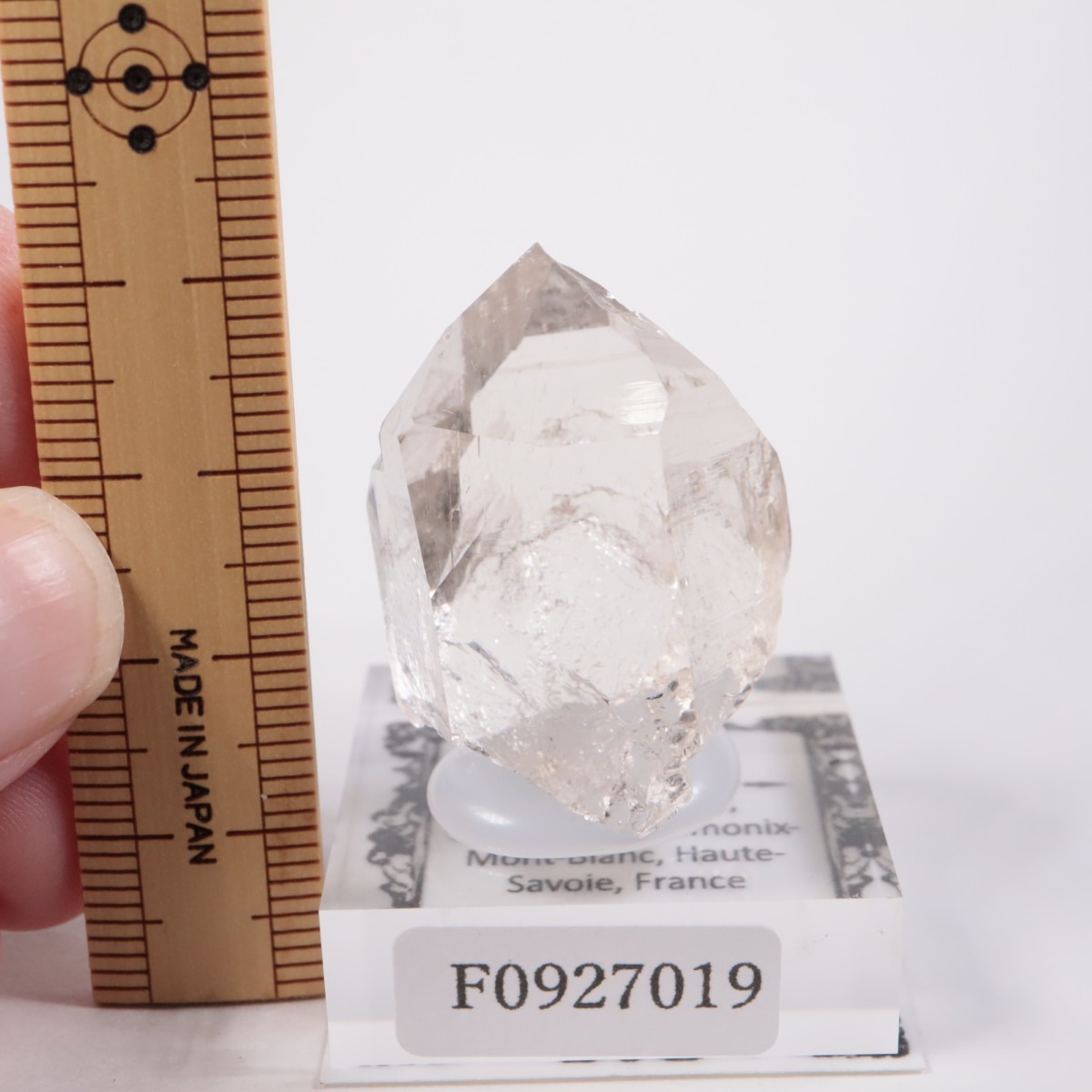 ���֥�� ��������