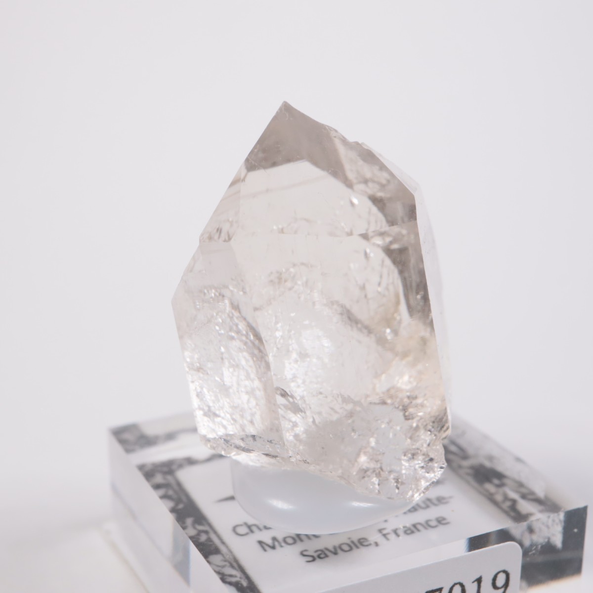 ���֥�� ��������