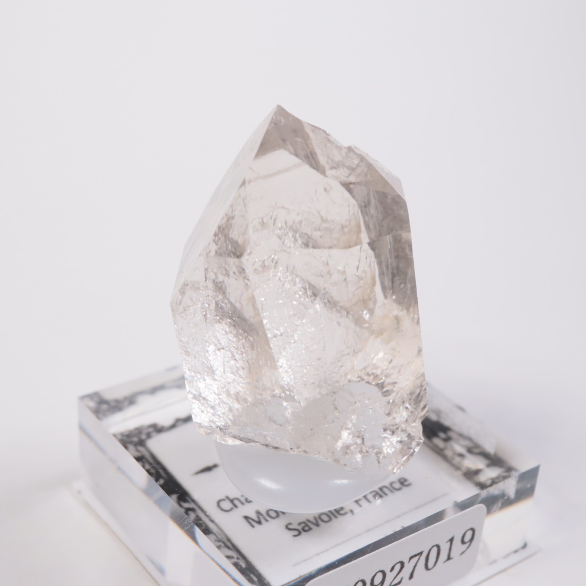 ���֥�� ��������