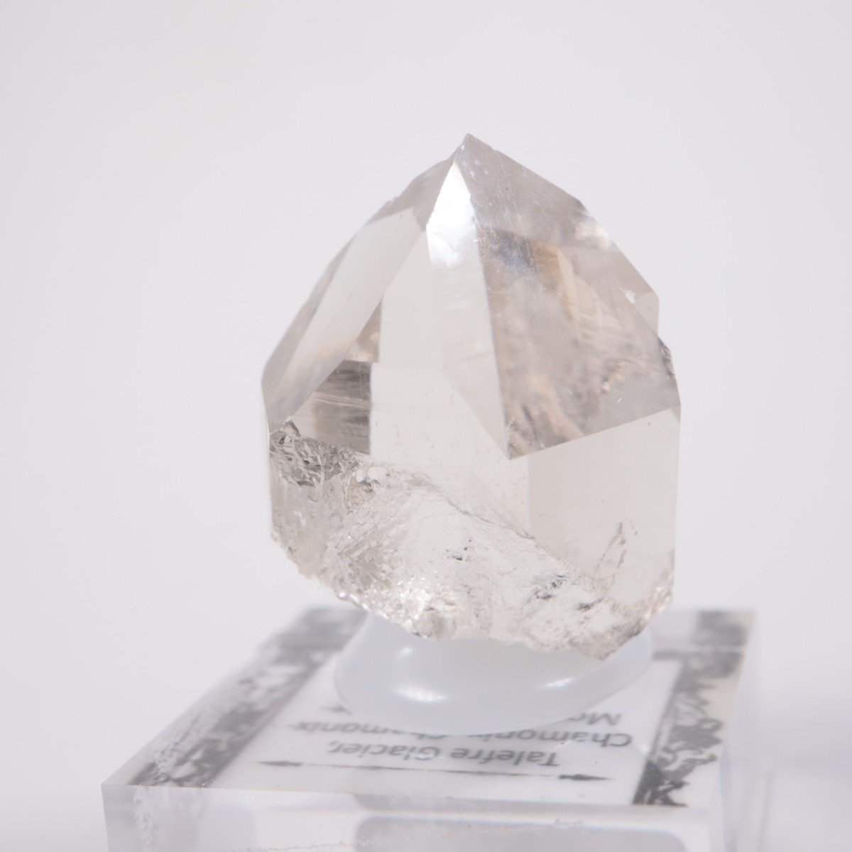 ���֥�� ��������