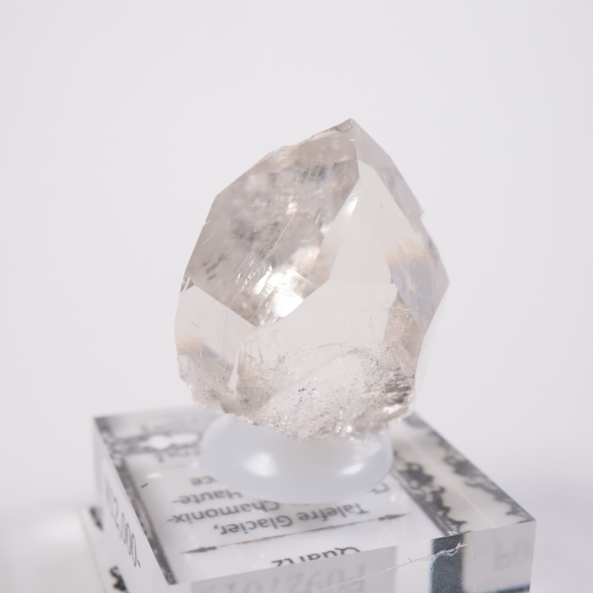 ���֥�� ��������