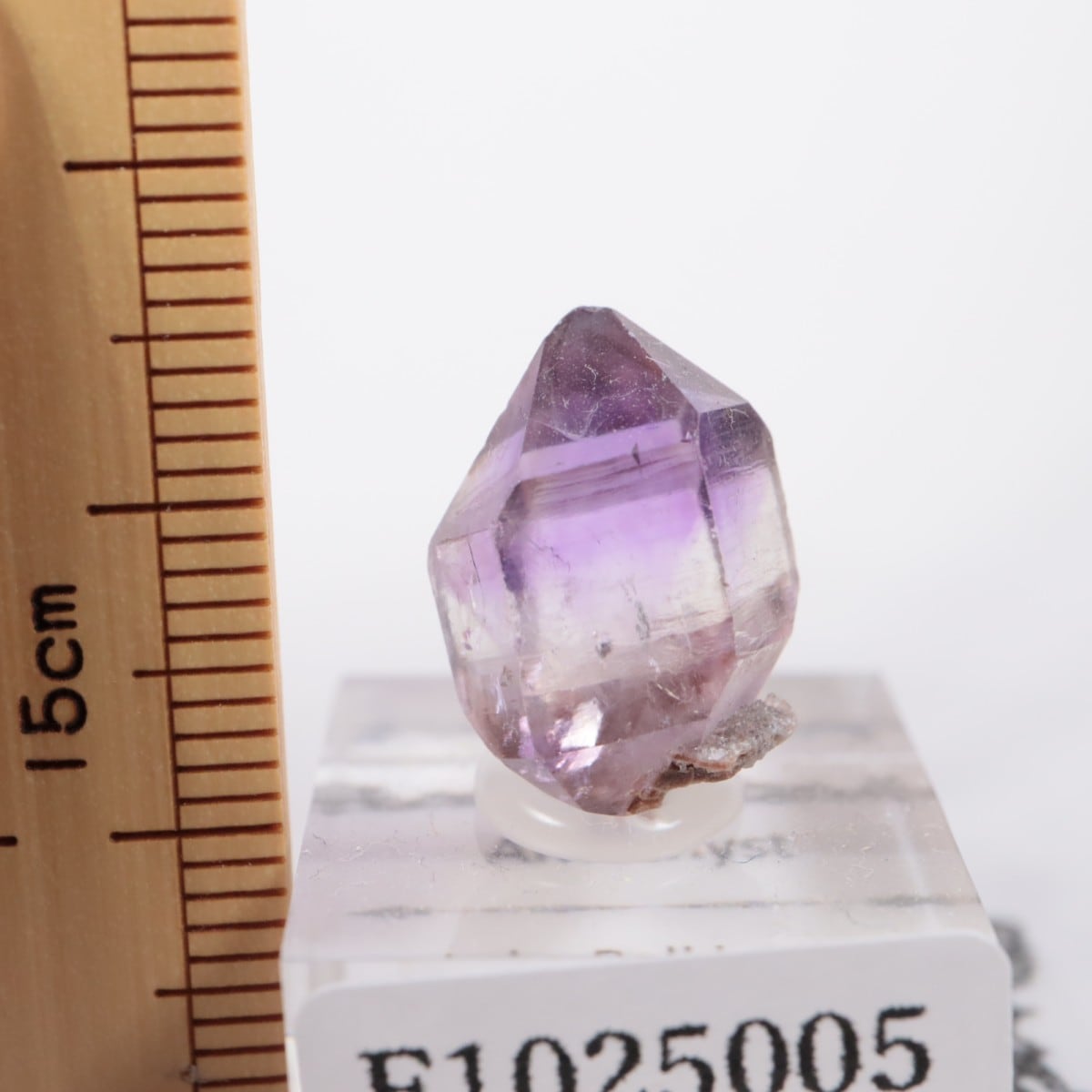 �����ե����� ���᥷����