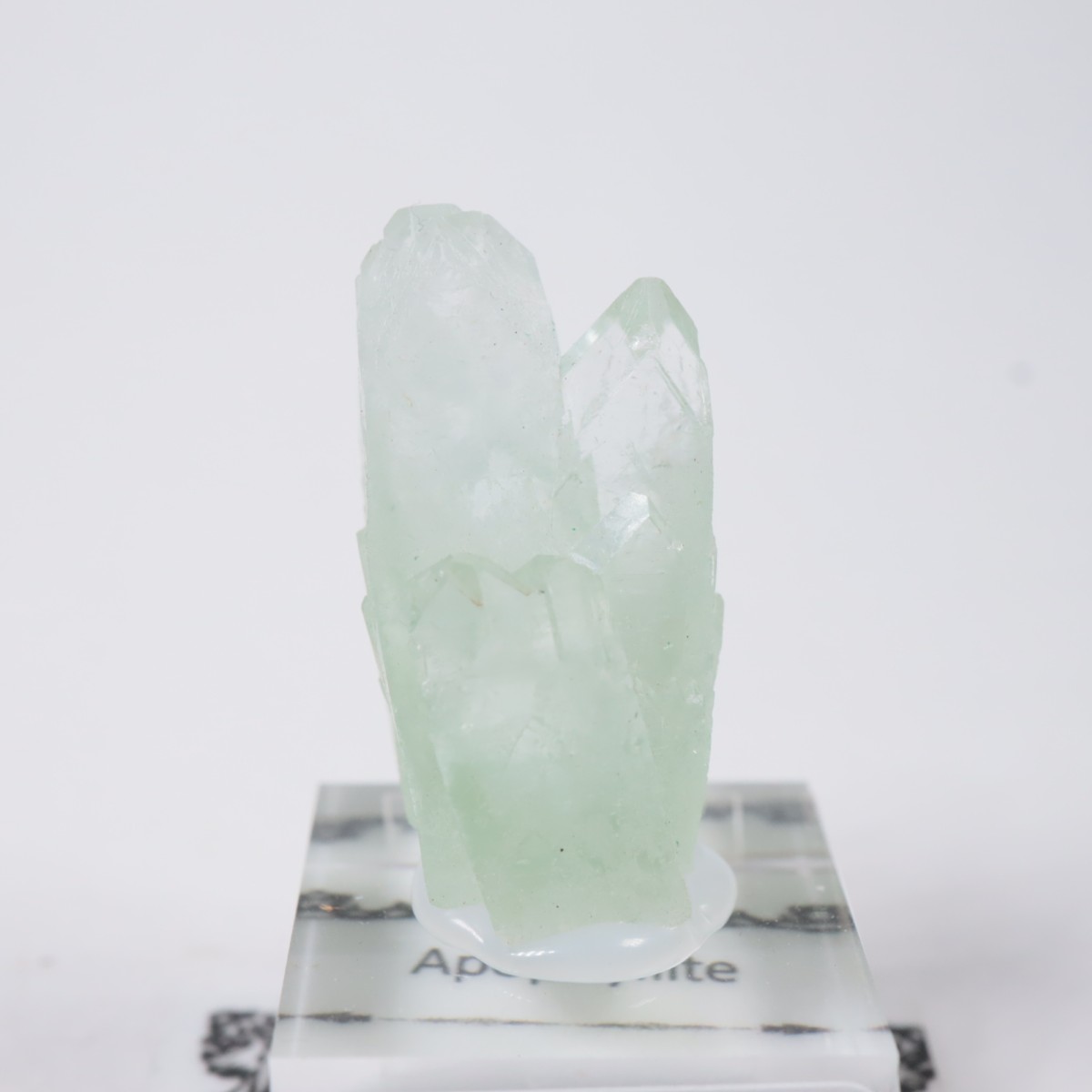 ����ɻ� ���ݥե��饤��