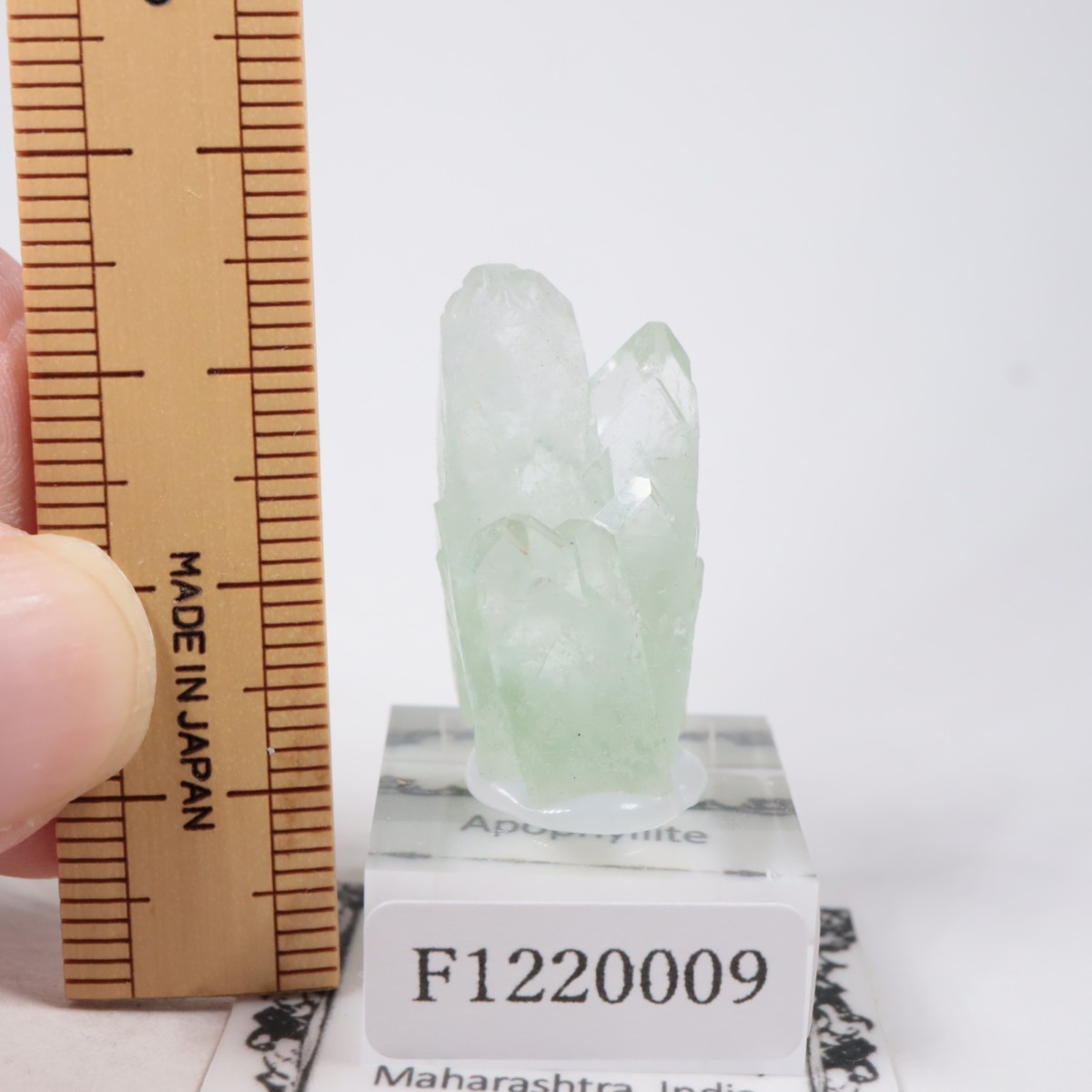 ����ɻ� ���ݥե��饤��