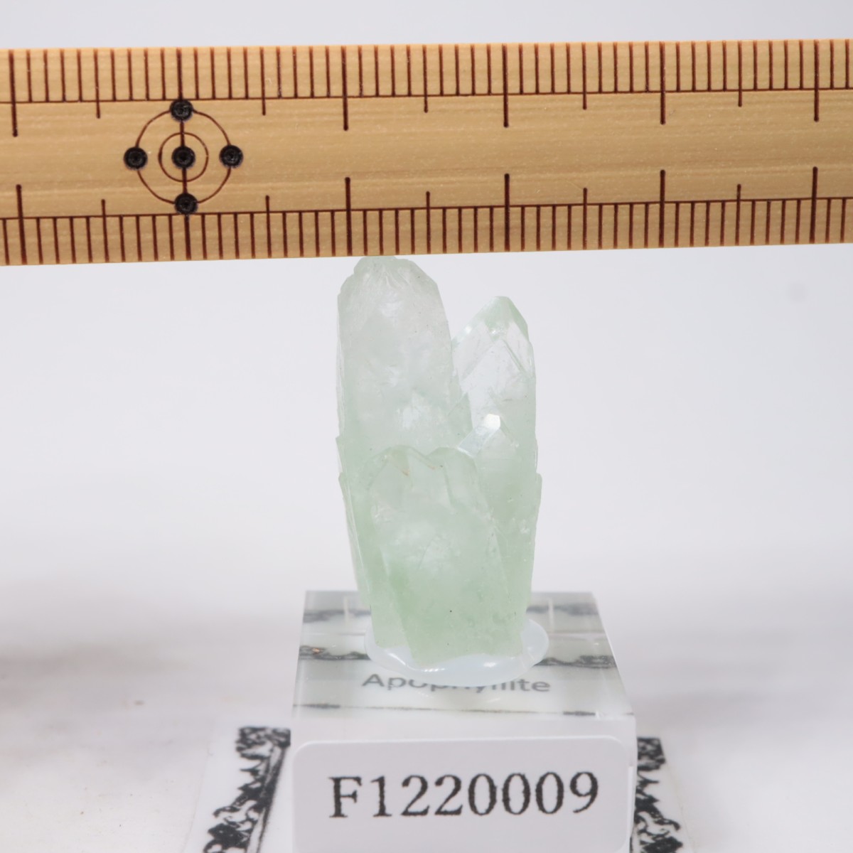 ����ɻ� ���ݥե��饤��