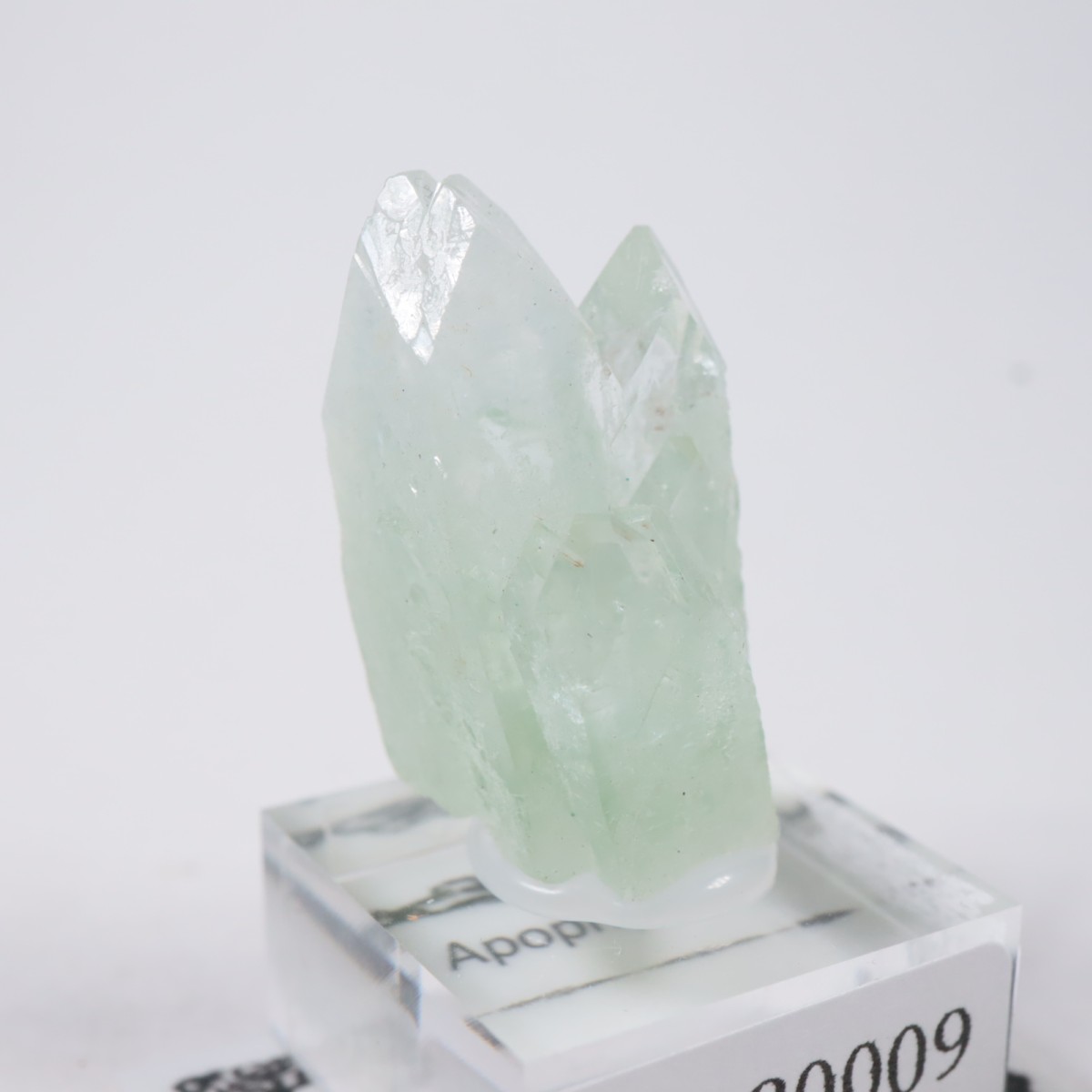 ����ɻ� ���ݥե��饤��