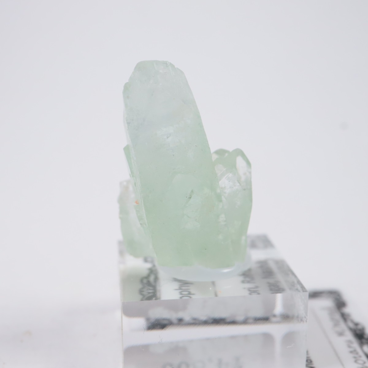 ����ɻ� ���ݥե��饤��