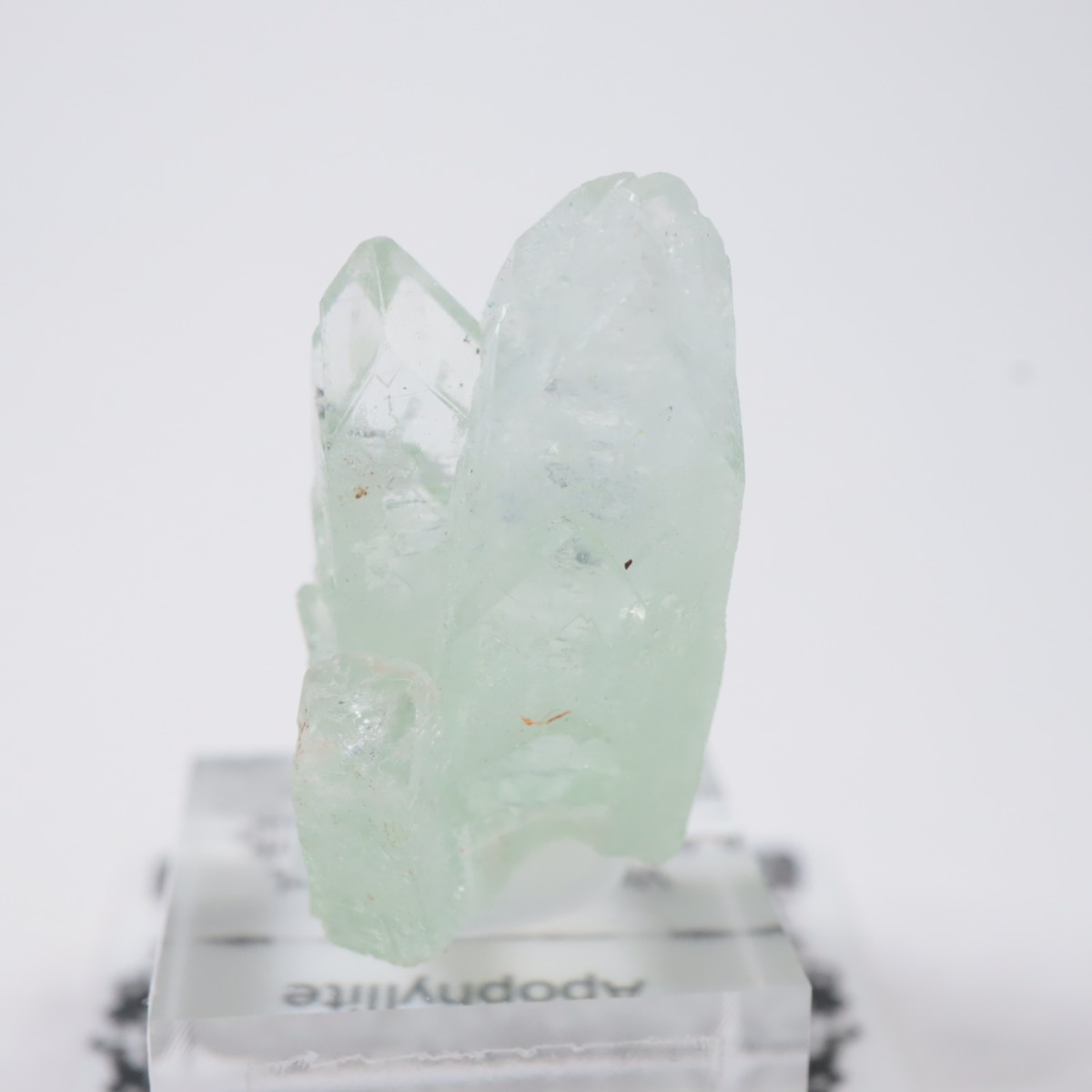 ����ɻ� ���ݥե��饤��