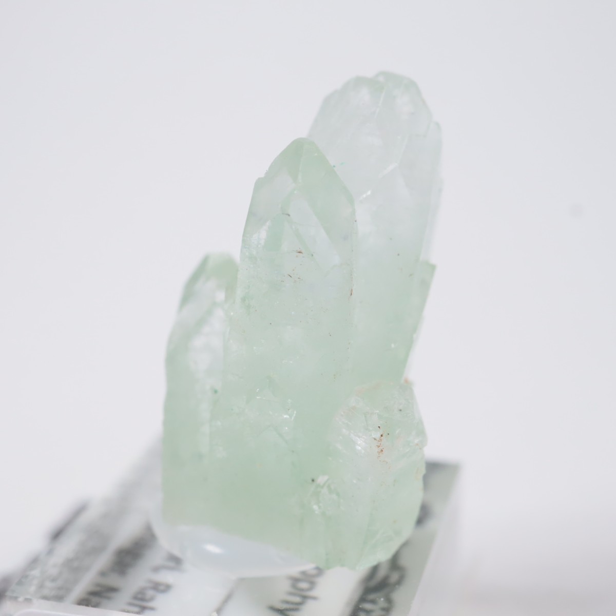 ����ɻ� ���ݥե��饤��