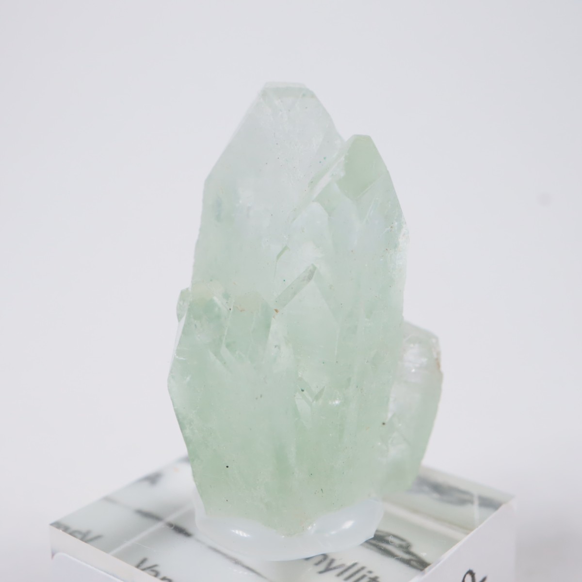 ����ɻ� ���ݥե��饤��