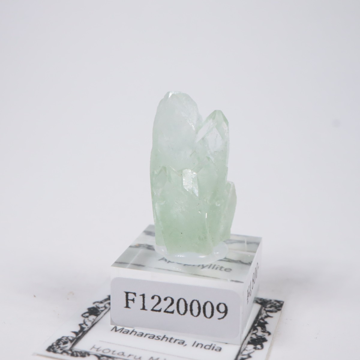 ����ɻ� ���ݥե��饤��