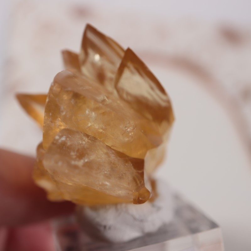 貝化石カルサイト | 鉱物標本,カ行,カルサイト/方解石 | ほたるみねら