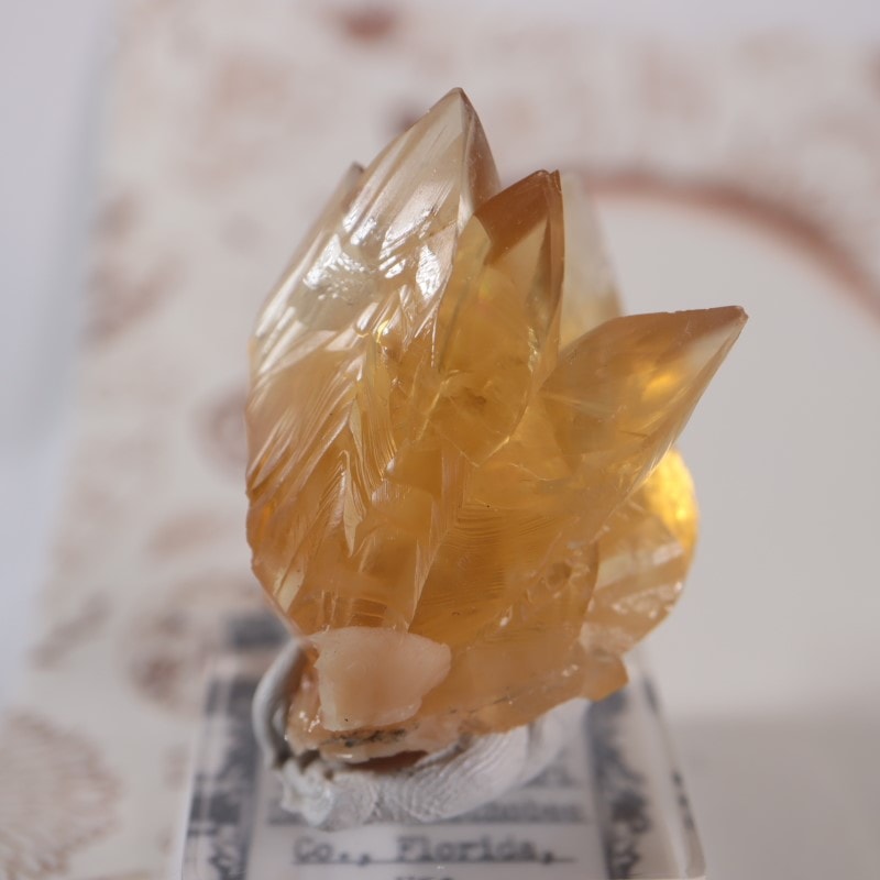 貝化石カルサイト | 鉱物標本,カ行,カルサイト/方解石 | ほたるみねら