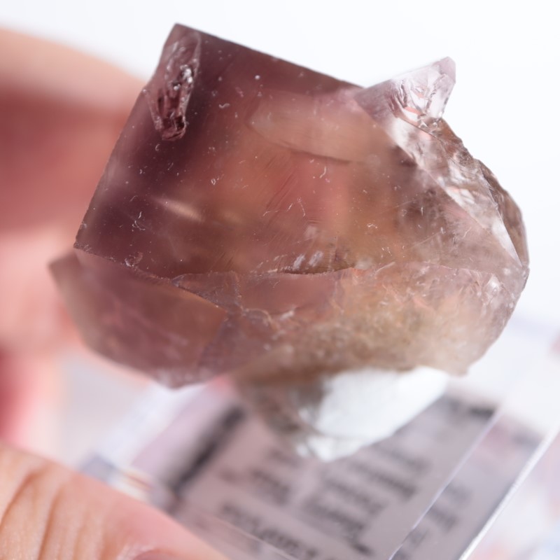 Sherry Twins Pocket産 フローライト（蛍石） | 鉱物標本,ハ行