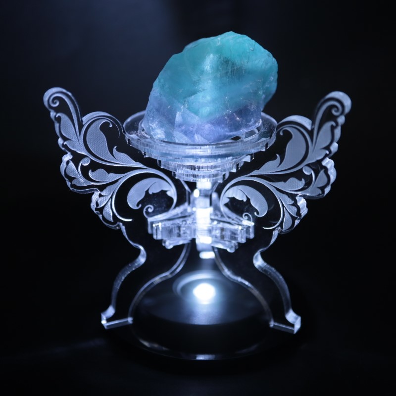 ��6/19�ɲá۹�ʪ���������ʷ����դ���