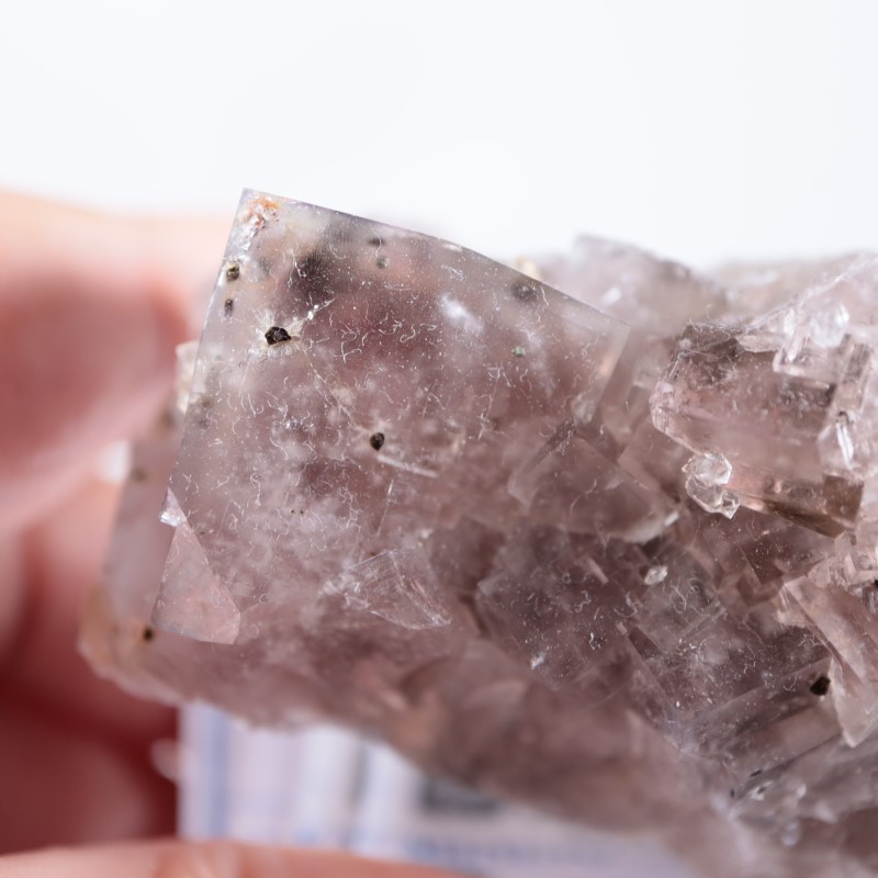 Sugar Plum Pocket フローライト | 鉱物標本,ハ行,フローライト