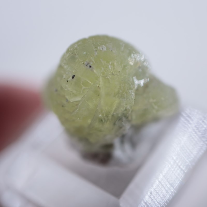 ����˥ҥ륺�����ץ�ʥ���