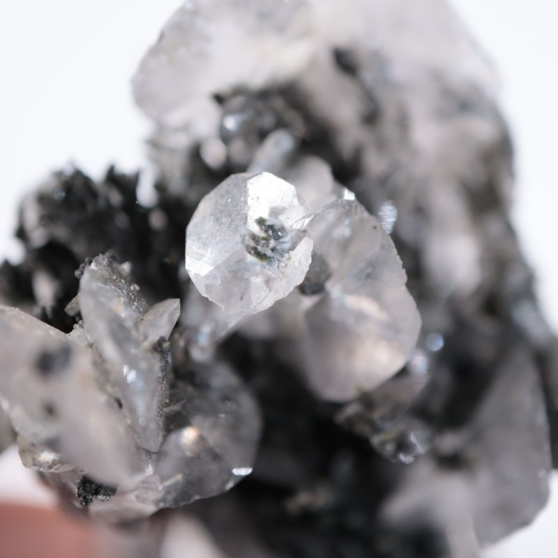 15_000000003946.jpg?1678209904