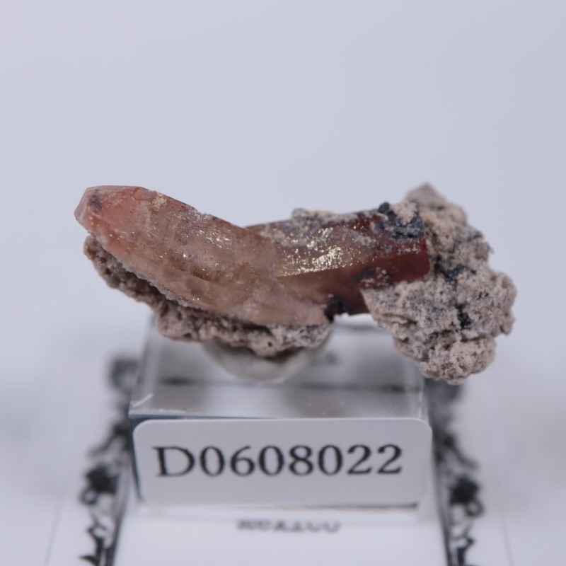 �ᥭ���������ȥѡ���