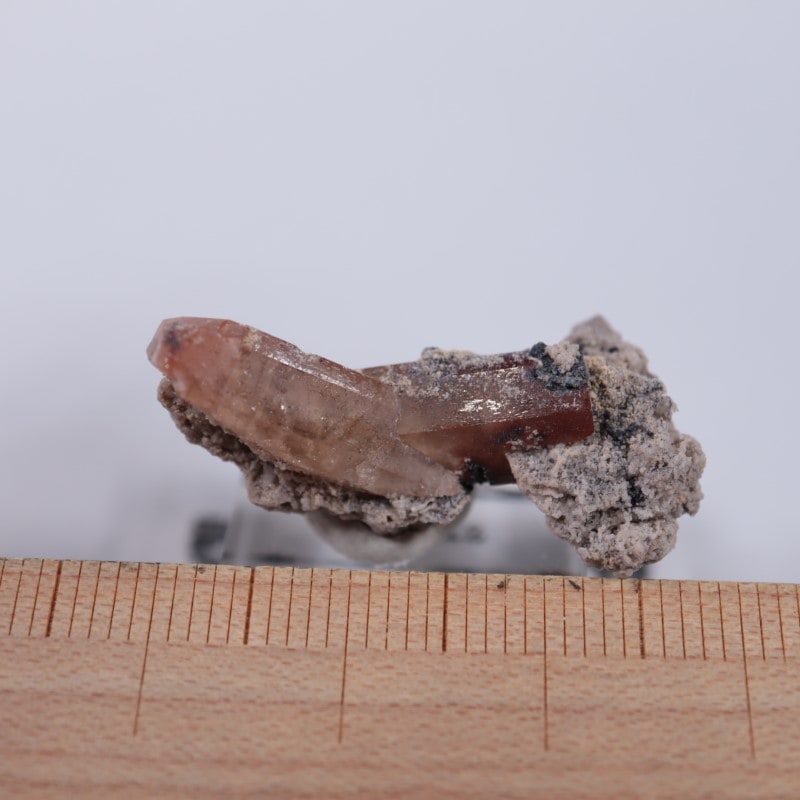 �ᥭ���������ȥѡ���