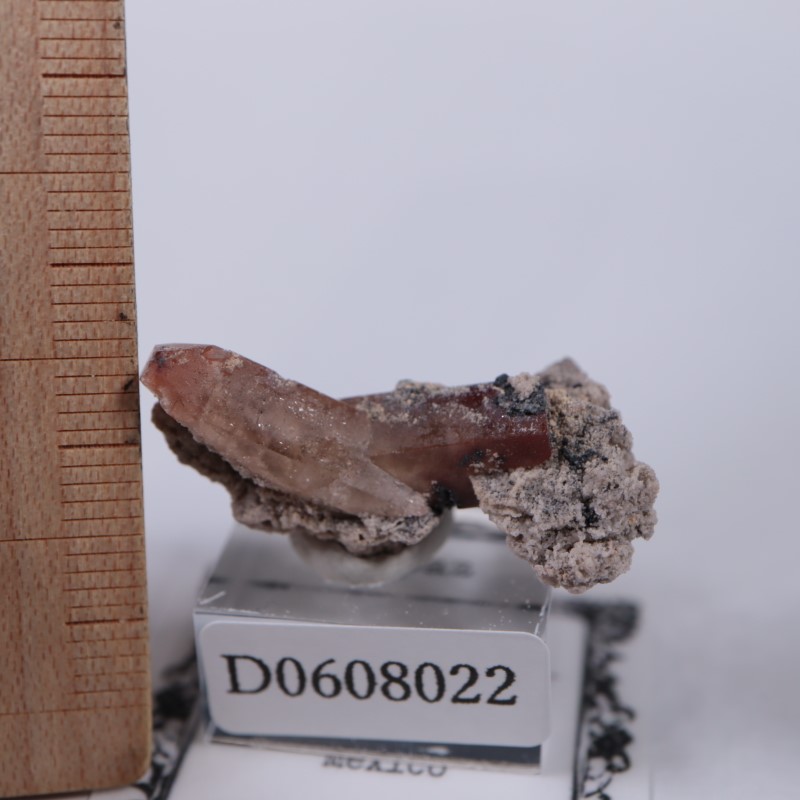 �ᥭ���������ȥѡ���