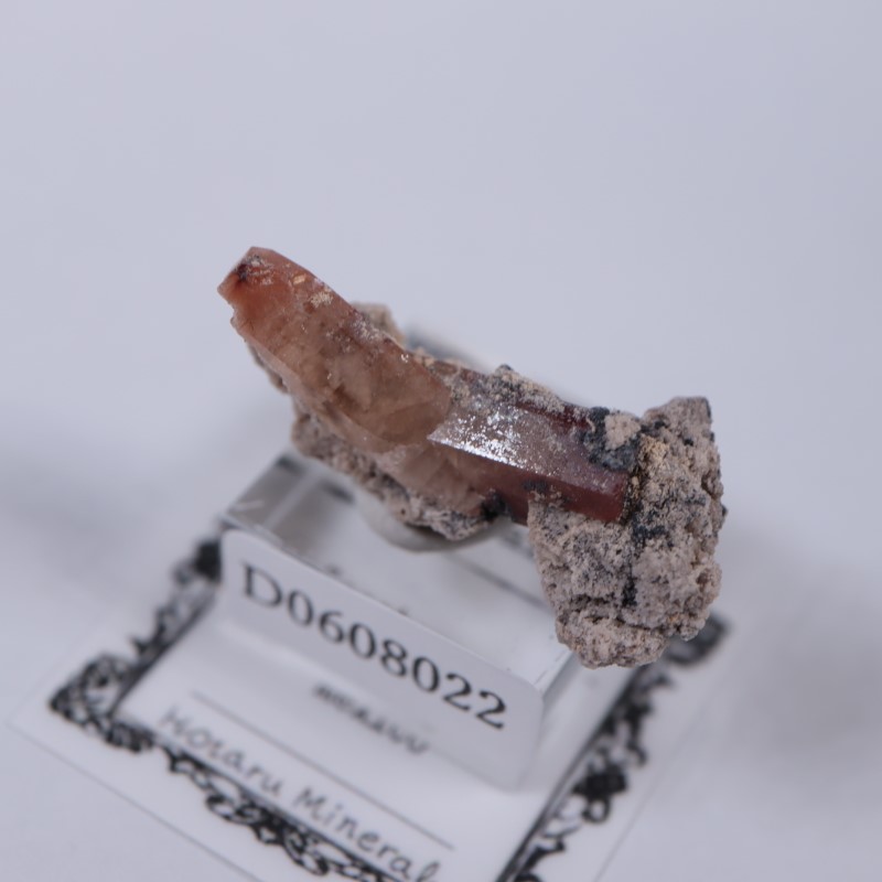 �ᥭ���������ȥѡ���