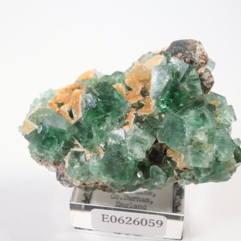 Druzy Dreams Pocket���ե����饤��