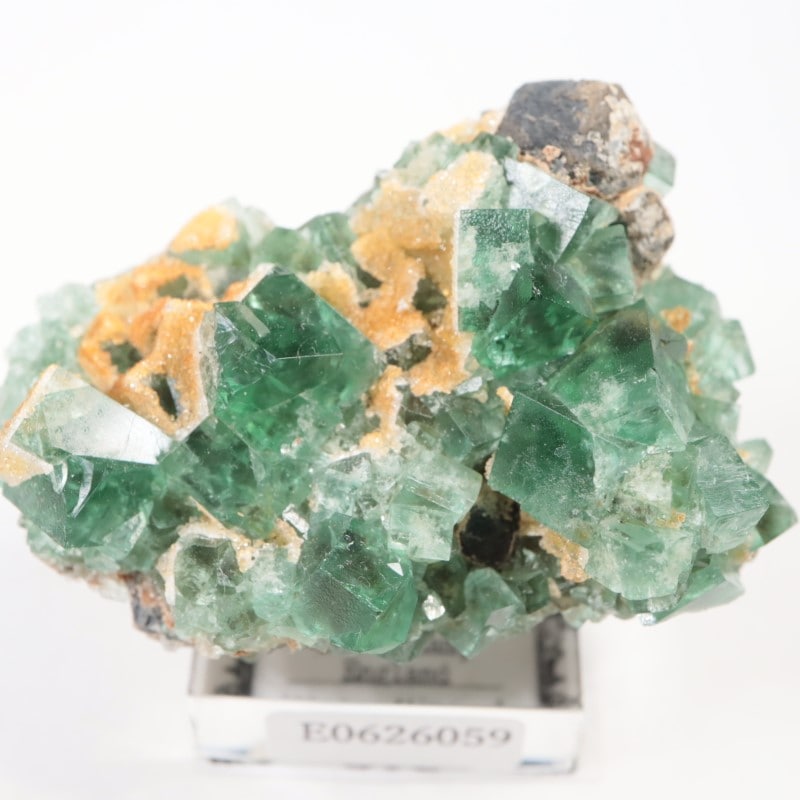 Druzy Dreams Pocket���ե����饤��