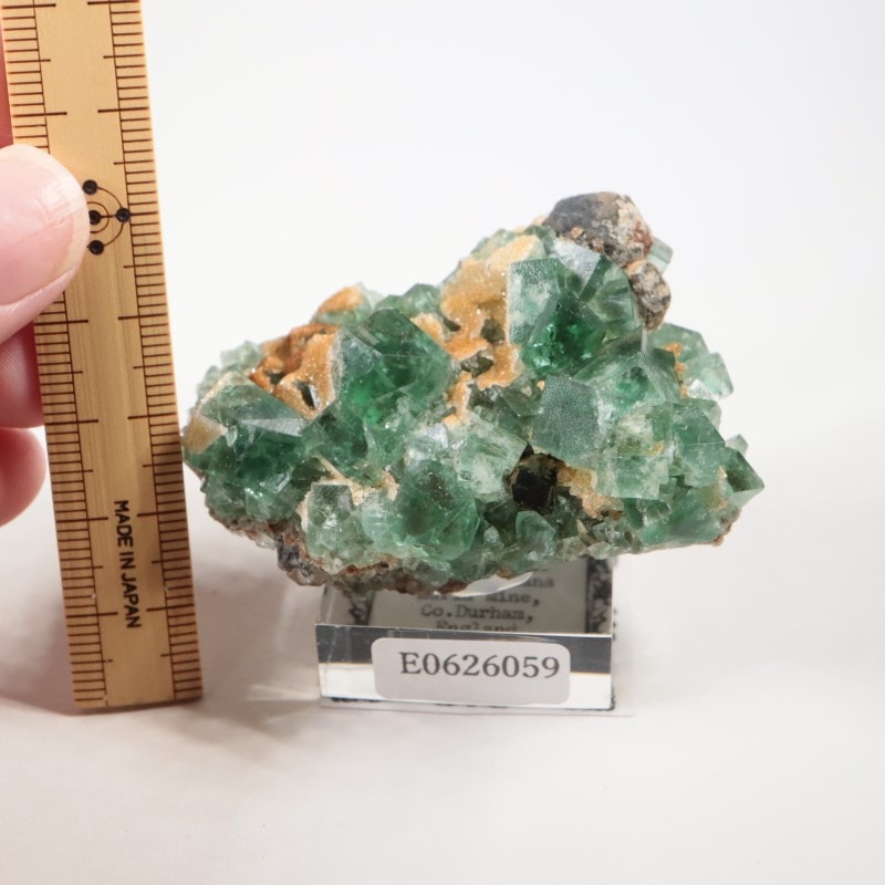 Druzy Dreams Pocket���ե����饤��