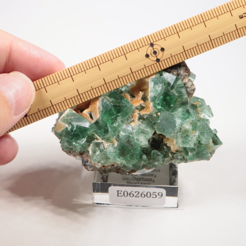 Druzy Dreams Pocket���ե����饤��