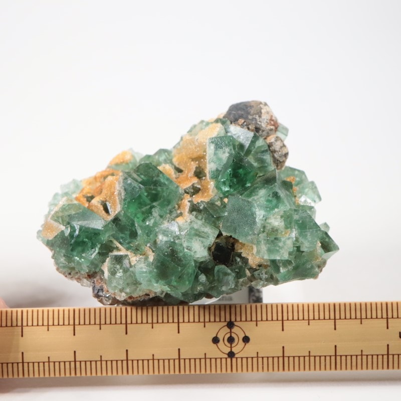 Druzy Dreams Pocket���ե����饤��