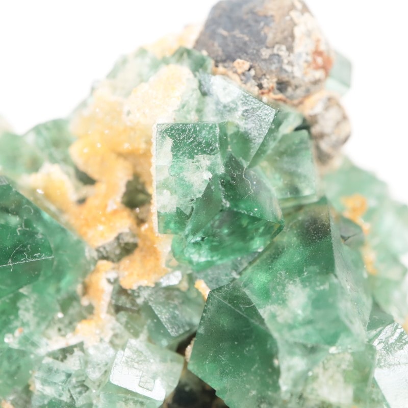 Druzy Dreams Pocket���ե����饤��