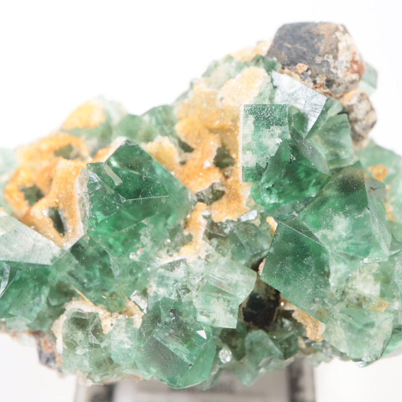 Druzy Dreams Pocket���ե����饤��