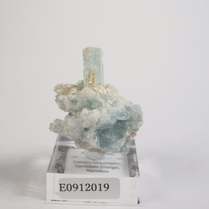 �����󥴹ۻ��� �������ޥ��