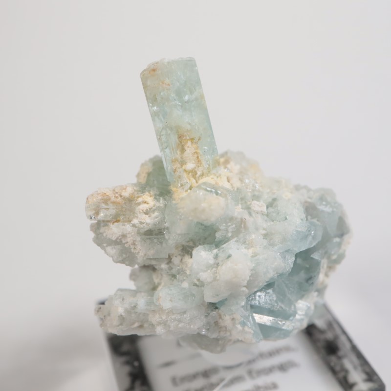 �����󥴹ۻ��� �������ޥ��