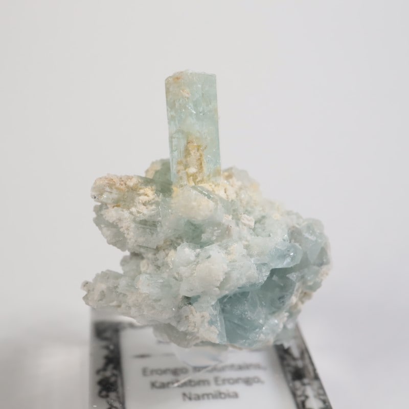 �����󥴹ۻ��� �������ޥ��