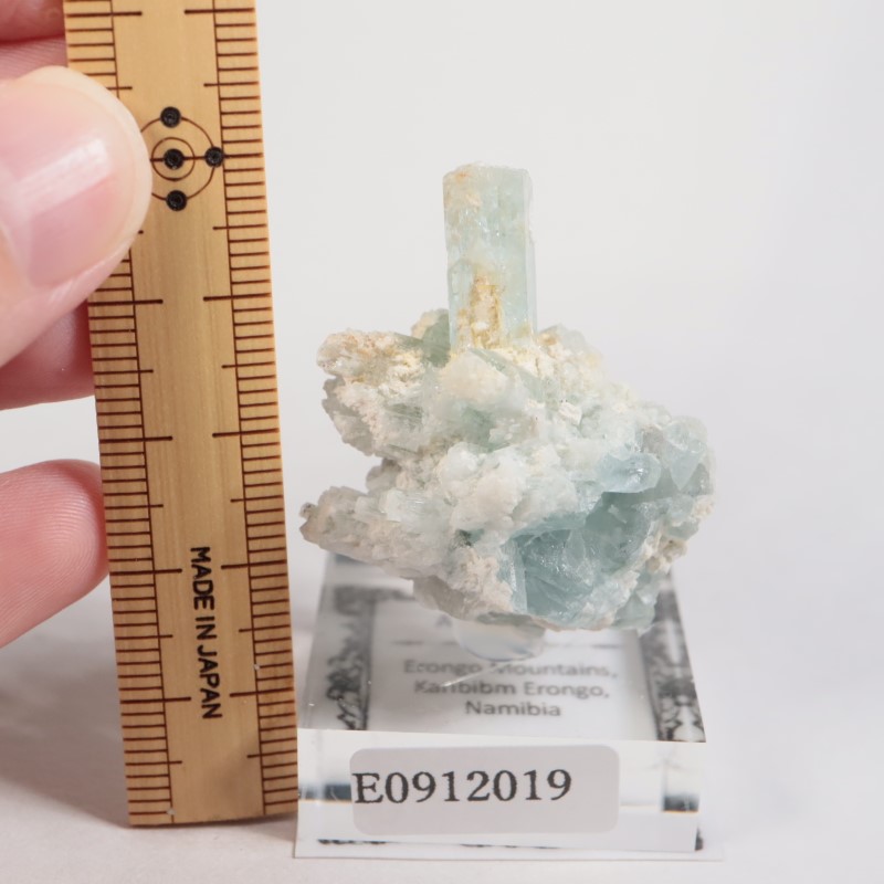 �����󥴹ۻ��� �������ޥ��