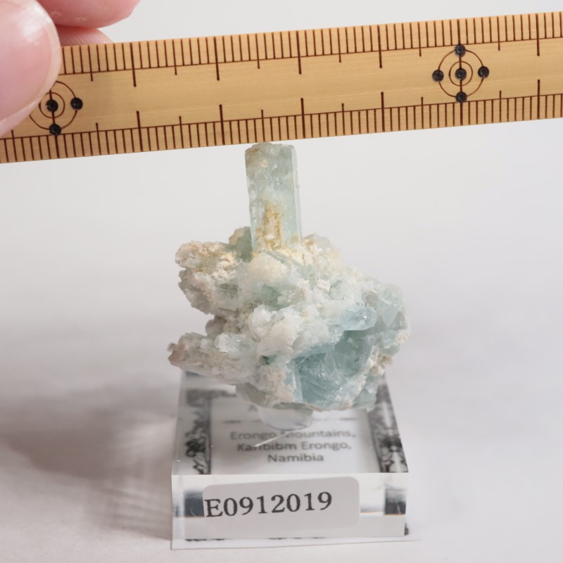 �����󥴹ۻ��� �������ޥ��