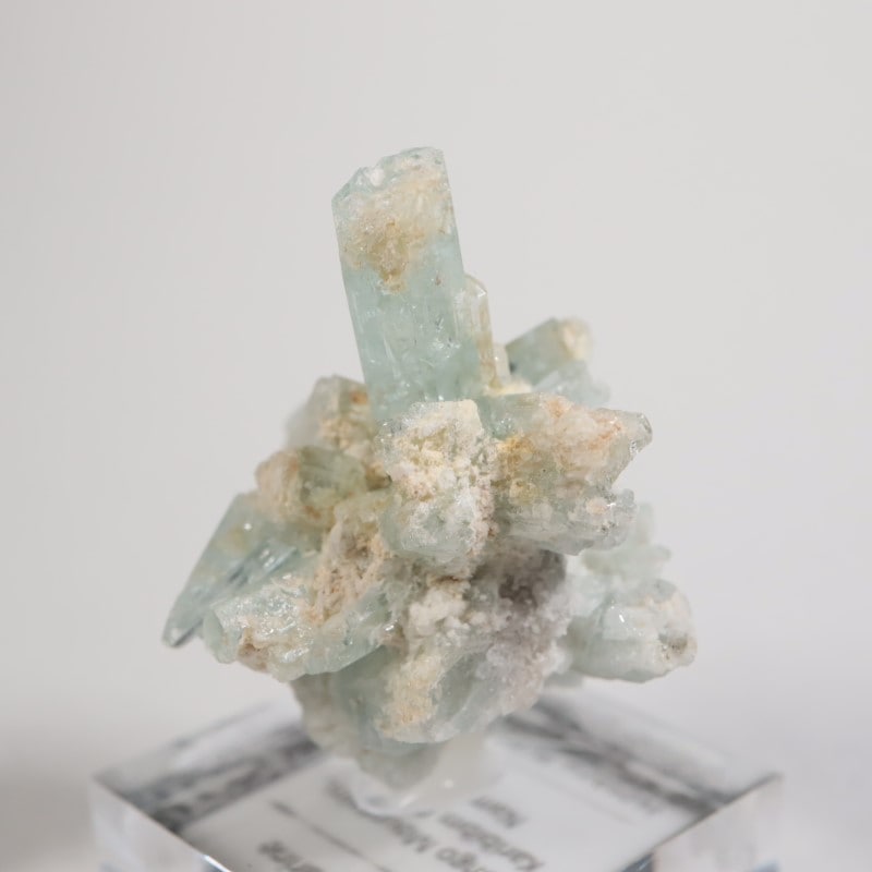 �����󥴹ۻ��� �������ޥ��