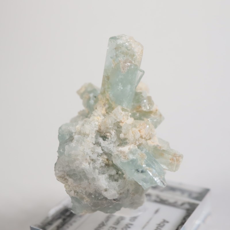 �����󥴹ۻ��� �������ޥ��