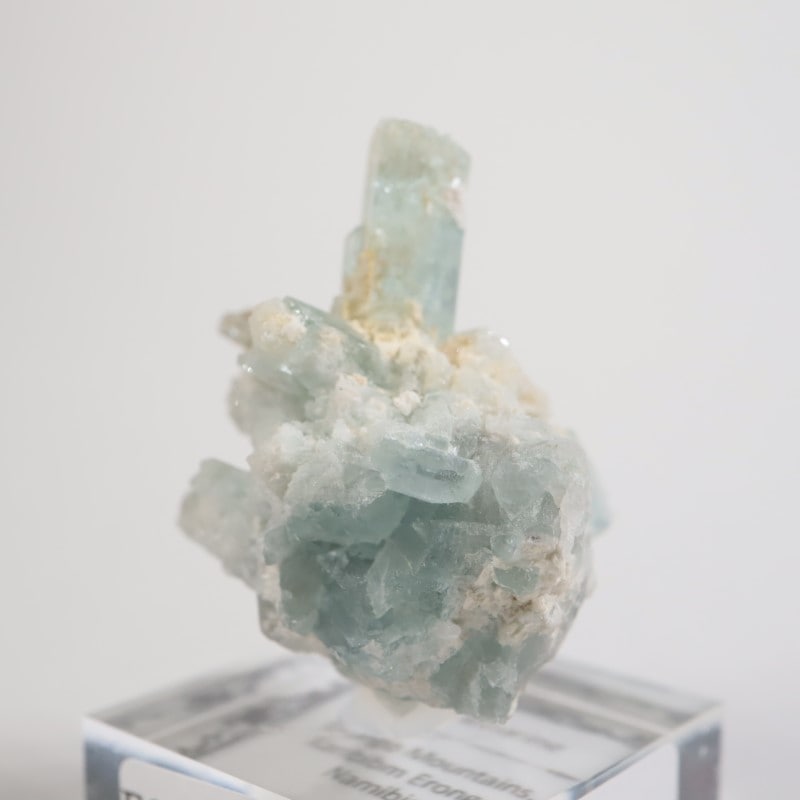 �����󥴹ۻ��� �������ޥ��